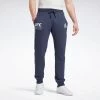 Reebok UFC Mens Pants - Blue, FU1288