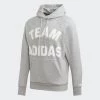 Adidas Hood - Grey, DX7957 2 Adidas Hood - Grey, DX7957