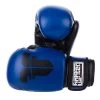 Fighter Basic Gloves - Blue/black, 1376APUBL