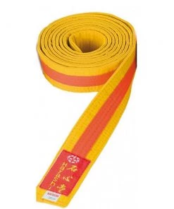 Martial Arts HAYASHI Belt - žlutá/oranžová, 052 Belts