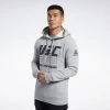 Hoodies Reebok UFC FG Hoodie - Grey, FK2342